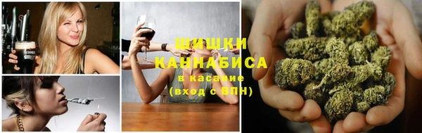 гашик Нефтекумск