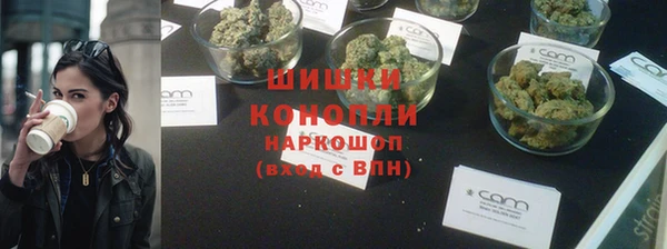 гашик Нефтекумск
