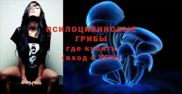 дживик Нефтегорск