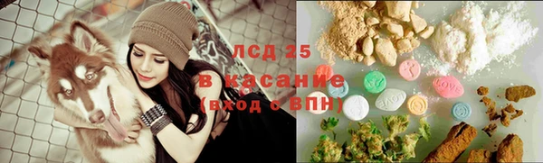 spice Нея