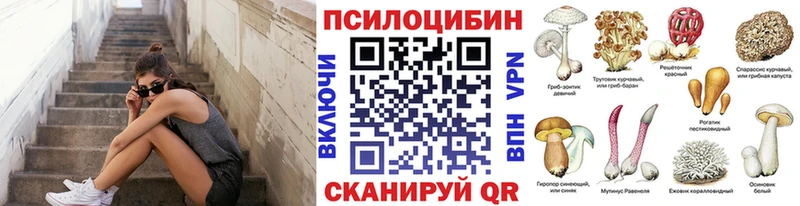 где можно купить Ялта Галлюциногенные грибы Psilocybine cubensis