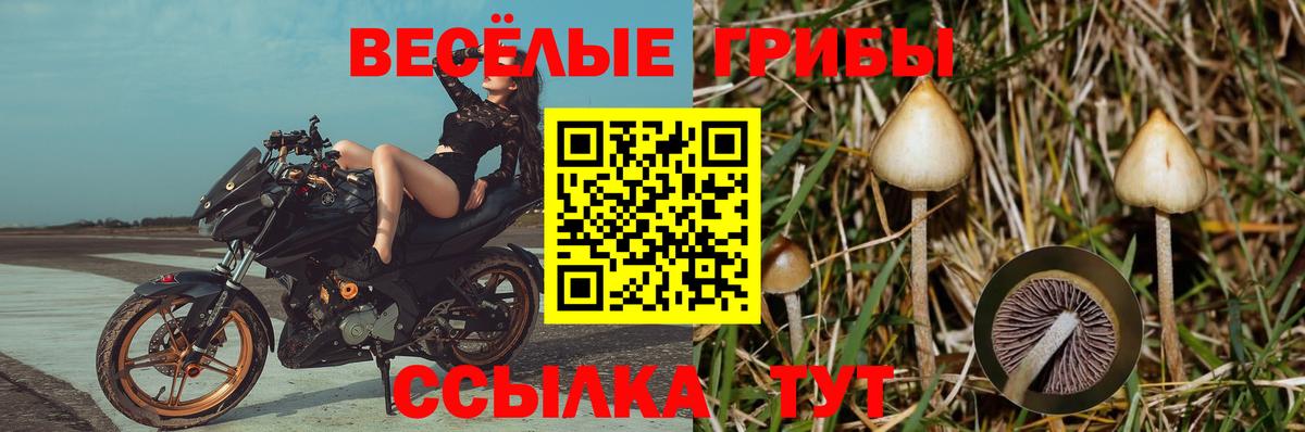 Псилоцибиновые грибы MAGIC MUSHROOMS  Вход с VPN  Псилоцибиновые грибы Psilocybe  Ялта 