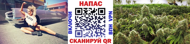 купить наркотики сайты  Ялта  Бошки Шишки план 